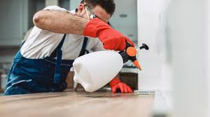 Best Residential Pest Control  in Cayce, SC